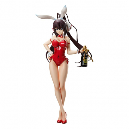 IS (Infinite Stratos) PVC Statue 1/4 Houki Shinonono Bare Leg Bunny Ver. (FREEing)